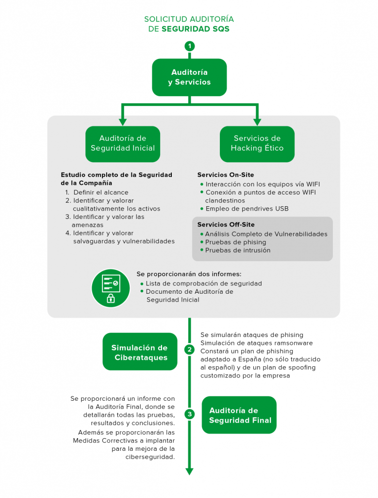 grafica_auditoria_seguridad-02
